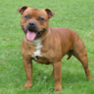 Meet your Posher, Yonathan